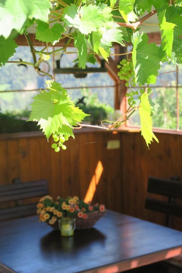 Apartament Brigitte *