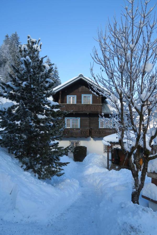 Brigitte Apartament