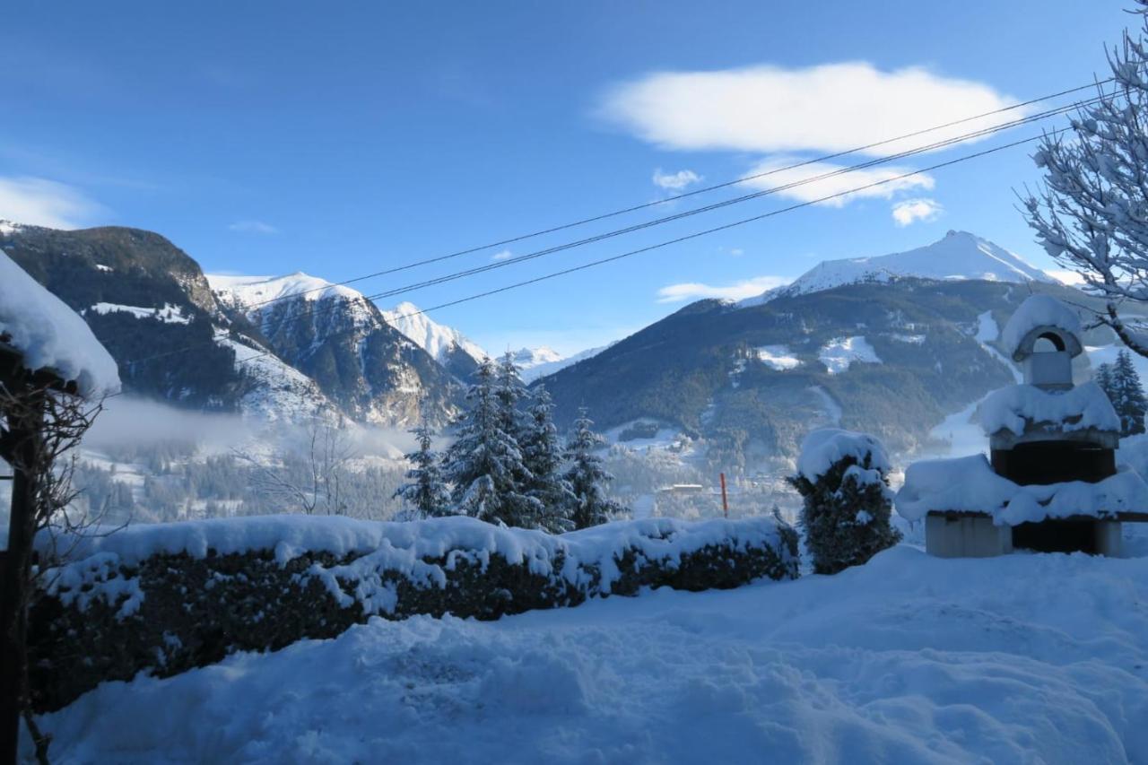 Brigitte Apartament